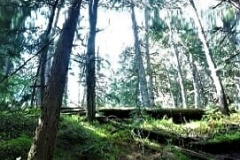 20180518_093829