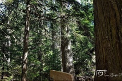 20180518_095414