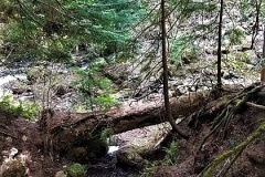 20180518_095710