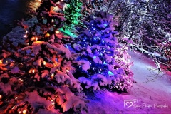 IMG_20191222_174811_107