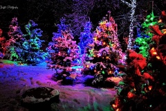 IMG_20191222_183325_618