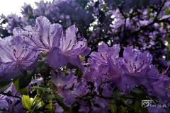20170503_120601