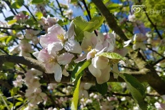 20170503_140243