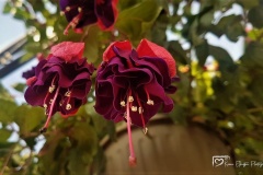 20180513_165034