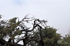 20190429_154227