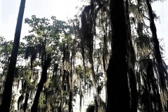 20190502_174202