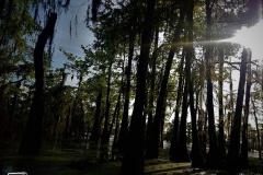 20190502_174617