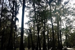 20190502_175209