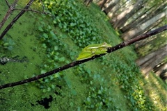 20190502_182933