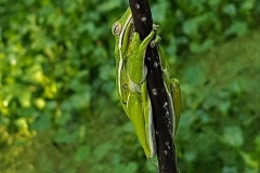 20190502_182949