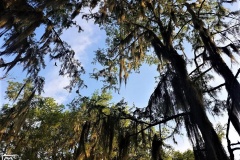 20190502_183505