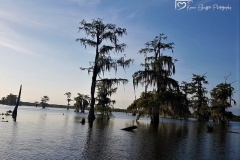 20190502_183700