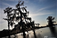 20190502_183718
