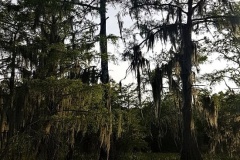 20190502_184055