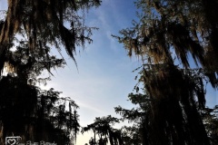 20190502_184309