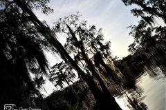 20190502_184639