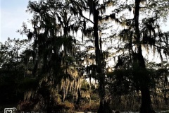 20190502_184856
