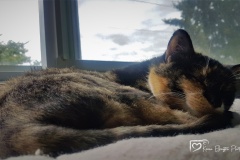 20180529_105013