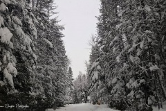 20171222_115051
