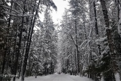 20171222_115407