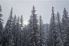 20171222_133501