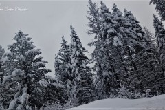 20171222_133509