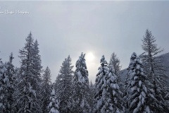 20171222_133514