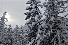 20171222_133524