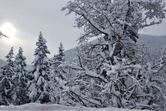 20171222_133525