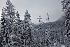 20171222_133604