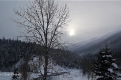 20171222_1337390
