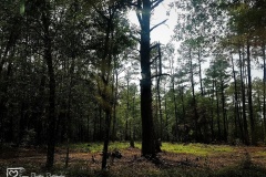 20190504_140440