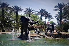 20190505_132807