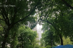 20170527_123807