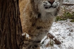 20180406_150858