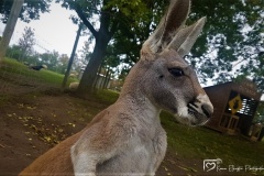20190928_144818