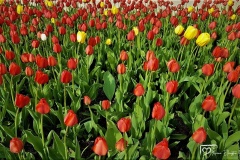 20180511_175641