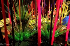 20170430_115948
