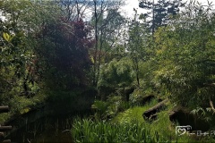 20170503_132535