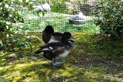 20170503_135005