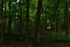 20160621_161658