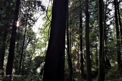 20160925_170633
