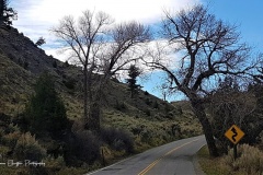 20190427_104822