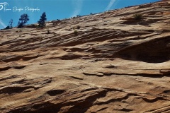 20190428_145534