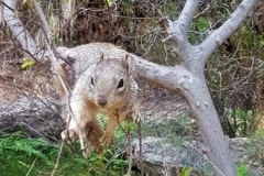 20190428_163822